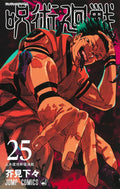 Jujutsu Kaisen Vol 25